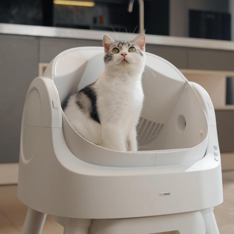 Self-Cleaning Open-Top Cat Litter Box — Easy, Clean, and Stress-Free Pet Care