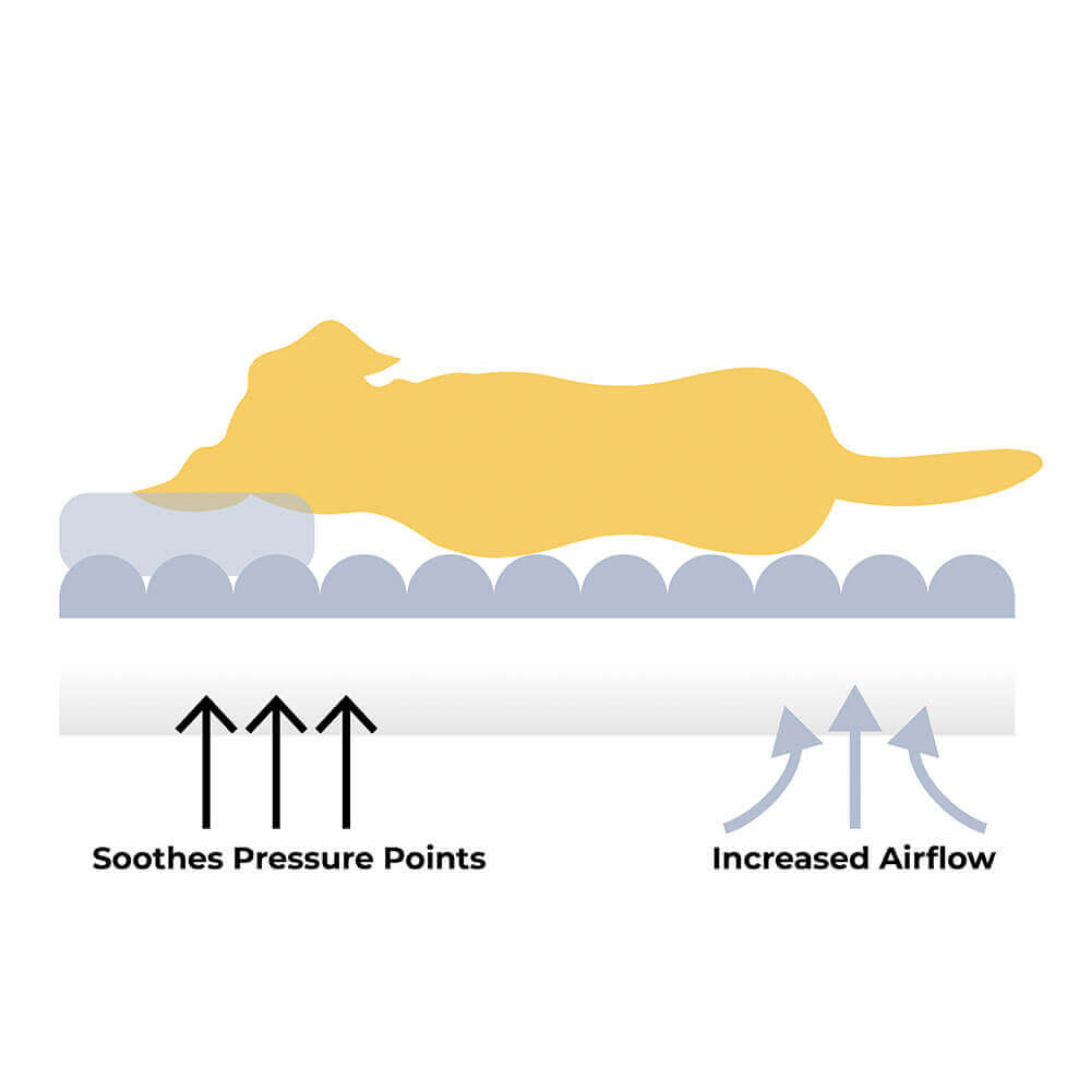 Chessboard Chic Meets Joint Support – Roomy Dog Sofa & Bed