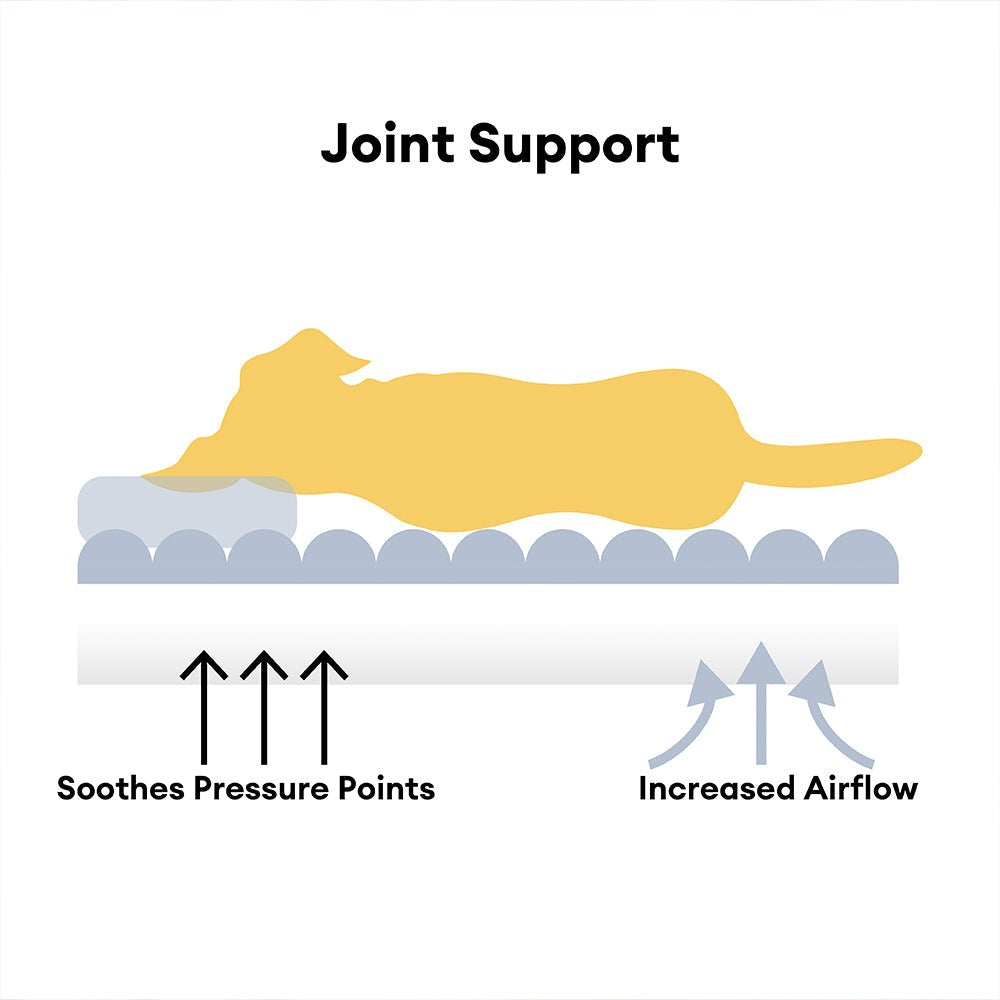 Orthopedic Fluffy Dog Sofa Bed-Where Ultimate Comfort Meets Modern Home Style